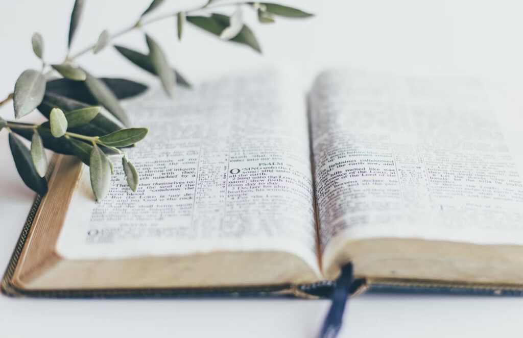 bible